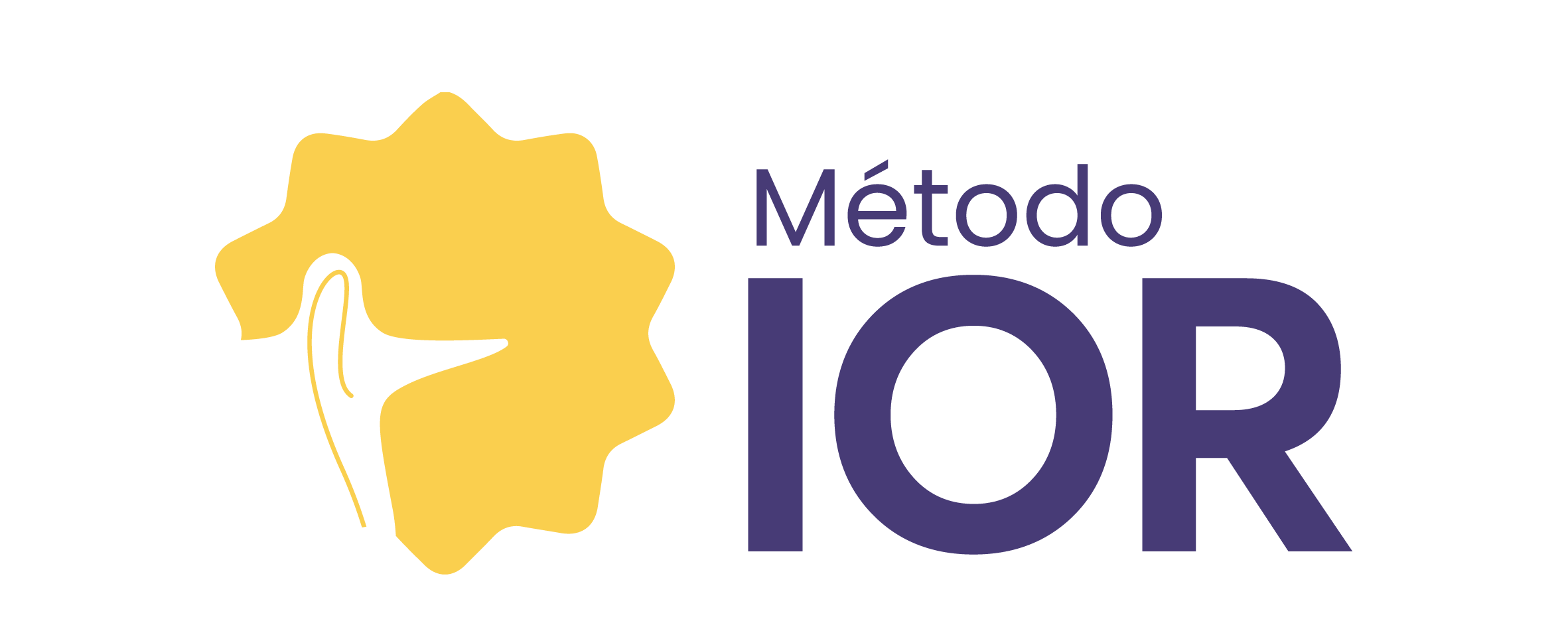 Logo-IOR-30
